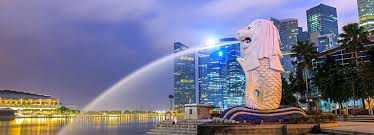 Thông báo về dịch sốt vàng da ở Singapore