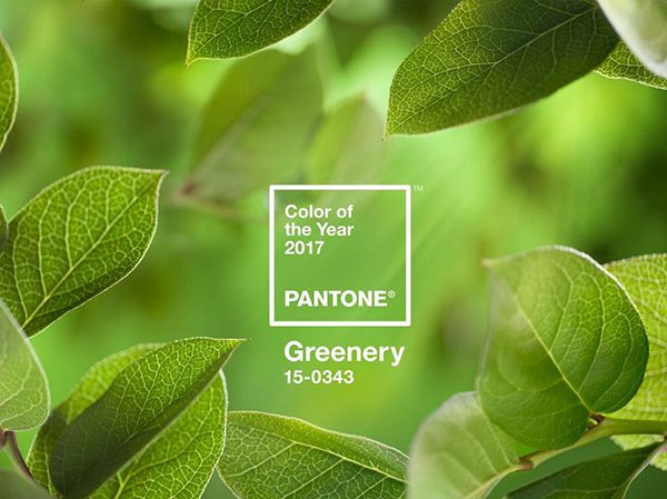 Bảng màu Pantone cho năm 2017