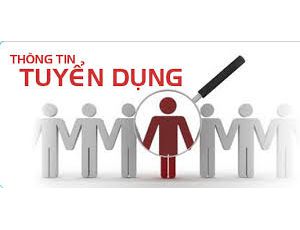 Công ty TNHH Đầu Tư Bất Động Sản Và Xây Dựng Sơn Hải Land - Tuyển dụng