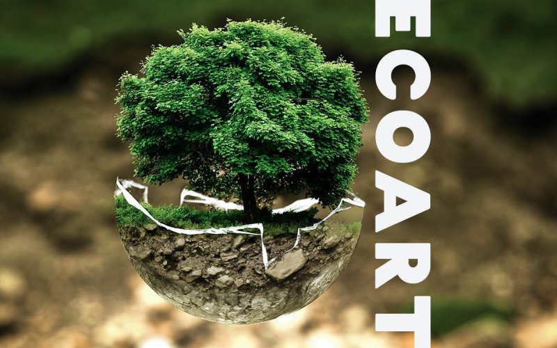 Hiểu về Eco Art là gì?