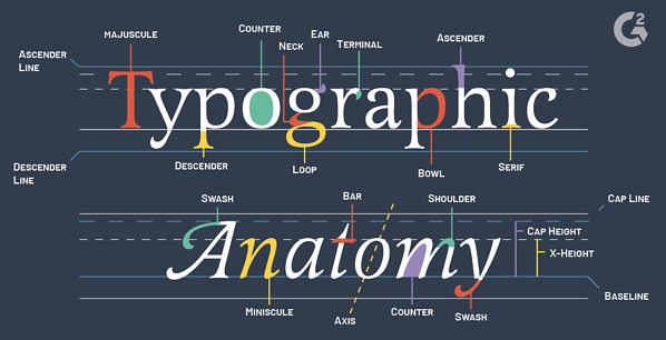 Typography - Nghệ thuật sắp xếp chữ