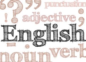 Cách chọn những bài học tiếng Anh giao tiếp cơ bản chất lượng
